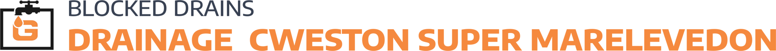website logo